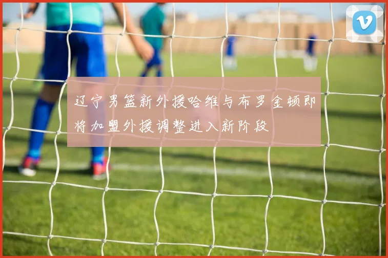 辽宁男篮新外援哈维与布罗金顿即将加盟外援调整进入新阶段
