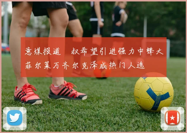 意媒报道囧叔希望引进强力中锋大菲尔莱万齐尔克泽成热门人选