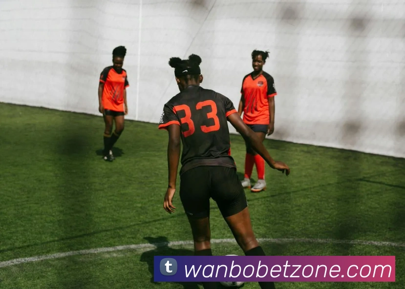 万博体育平台生态图